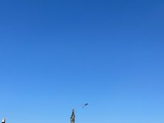 -人民防洪胜利纪念塔