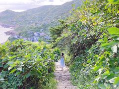 -枸杞岛