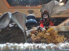 -红辣椒·川菜·火锅(张杨路店)