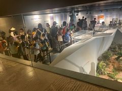 -北京周口店北京人遗址博物馆