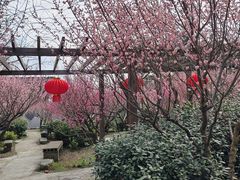 -雨花胜境