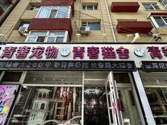 -青奢宠物·青奢猫舍