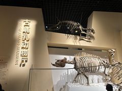-国家自然博物馆