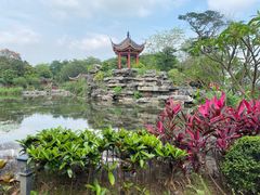 -顺峰山公园