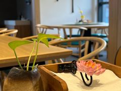 -枣子树·素食餐厅(朱家尖店)