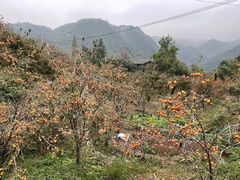 -丹山赤水风景名胜区