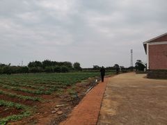 -侯臣咖啡文化村