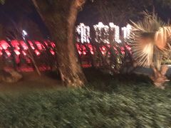 -三亚游船旅游中心(三亚鹿回头游艇游船公共码头店)