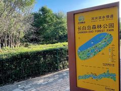 -长白岛森林公园