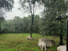 -西安秦岭野生动物园