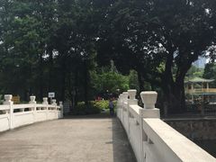-晓港公园