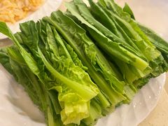 油麦菜-八先生涮肉房(三里河店)