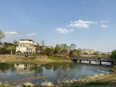 -两河城市森林公园