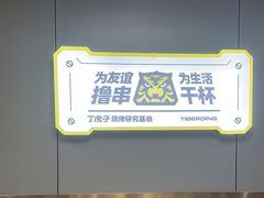 -丁虎子烤肉(国道二店)