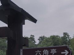 -习家池