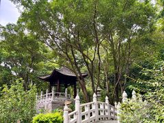 -深圳国际园林花卉博览园