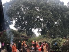 -峨眉山报国寺