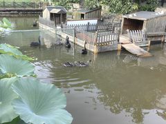 -荷塘味道(水长城店)