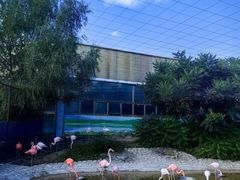 -齐齐哈尔龙沙动植物园