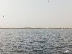-天津金海湖