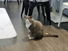 -乐果甜心·潮汕冰室(南澳后宅分店)