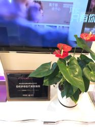 点击看大图 -昆明梦想医疗美容医院