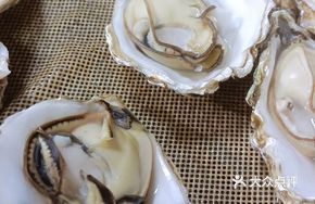 Steamed Oysters