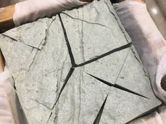 -香樟活鱼馆(渝北店)