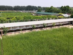 -河北村民俗体验园