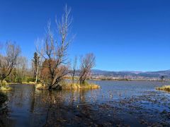-西昌邛海湿地