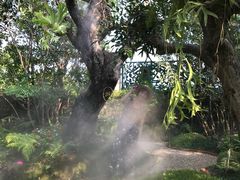 -Chom Cafe and Restaurant