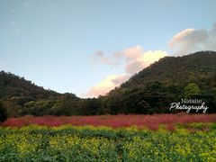 -广州市石门国家森林公园