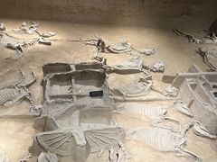 -洛阳周王城天子驾六博物馆