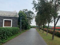 -万绿园