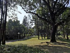 -人民公园(罗湖区)