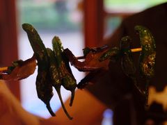 -野草酒馆GRASS TAPROOM(时代天街店)