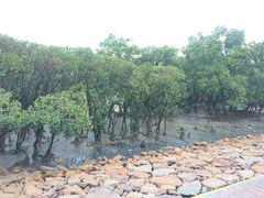 -宝安西湾红树林湿地公园