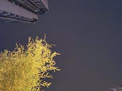 -海底捞火锅(海悦天地店)