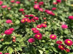 -杭州城北体育公园