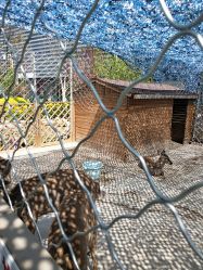 点击看大图 -萌宠亲子动物乐园(槐房万达店)