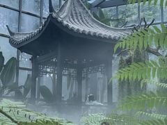 -东莞植物园