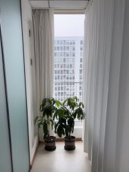 -薇兰专业脱毛连锁机构