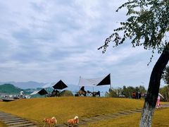 -金海湾滨江公园