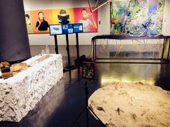 -天津美术学院-校史馆