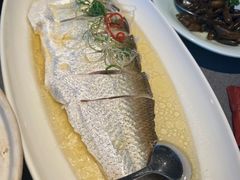 -拾宴(汇智国际商业中心店)