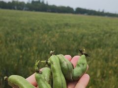 -河姆渡遗址博物馆
