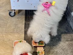 -蜀大侠火锅(春熙路店)