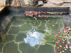 -昆明柏联SPA温泉