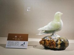 -大连自然博物馆