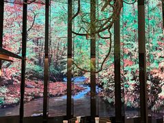 -桂满陇·海市蜃楼·黑金(国金店)